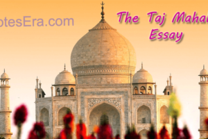 The Taj Mahal Essay
