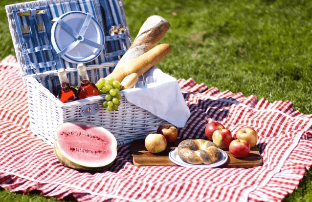 A Picnic Essay