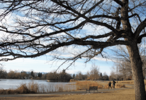 A Sunday Winter Afternoon