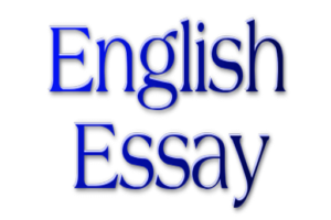 English Essay